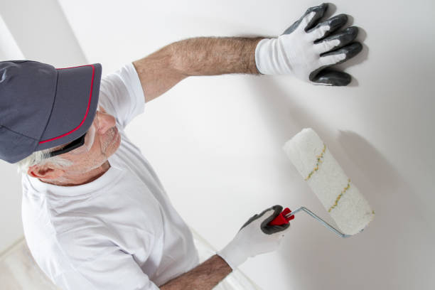  Gulf Breeze, FL Mold Removal Pros
