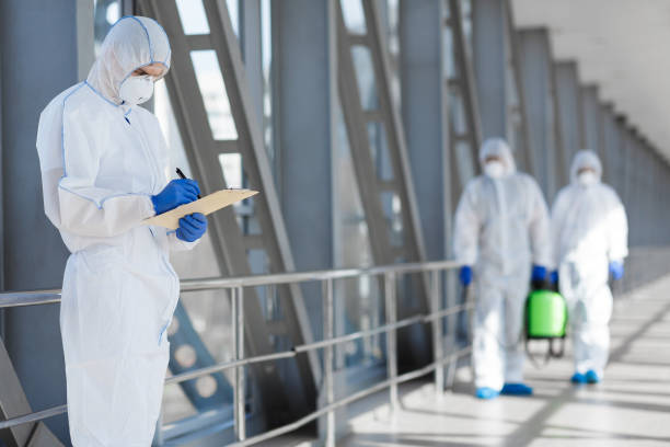 Best Mold Damage Restoration  in Gulf Breeze, FL