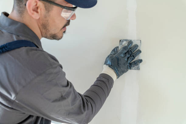 Environmental Consulting for Mold Prevention in Gulf Breeze, FL