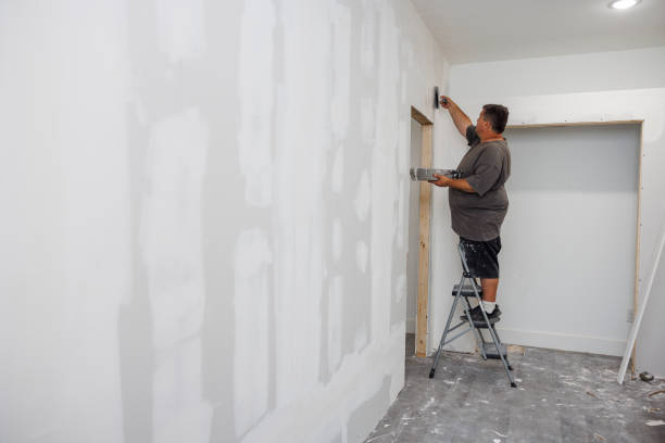 Best Emergency Mold Remediation  in Gulf Breeze, FL