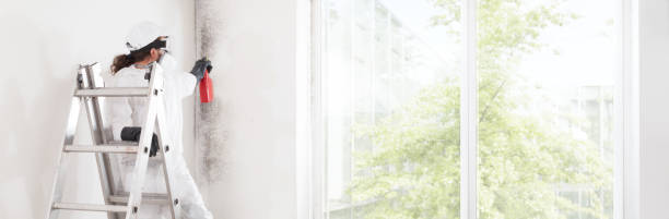 Best Emergency Mold Remediation  in Gulf Breeze, FL