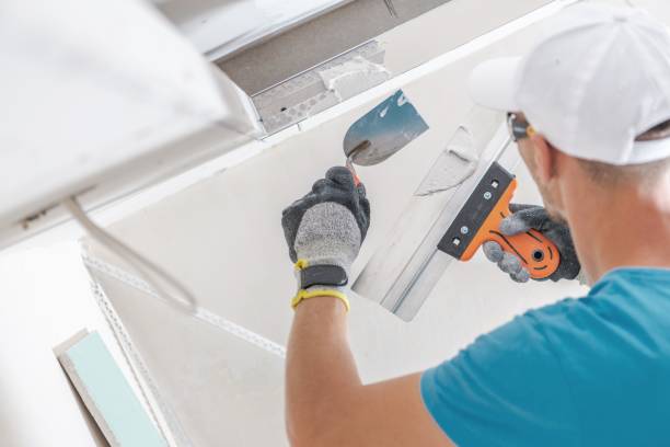 Best Mold-Related Health Consultation  in Gulf Breeze, FL